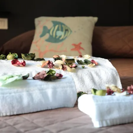 Albamares Bed & Breakfast 2*
